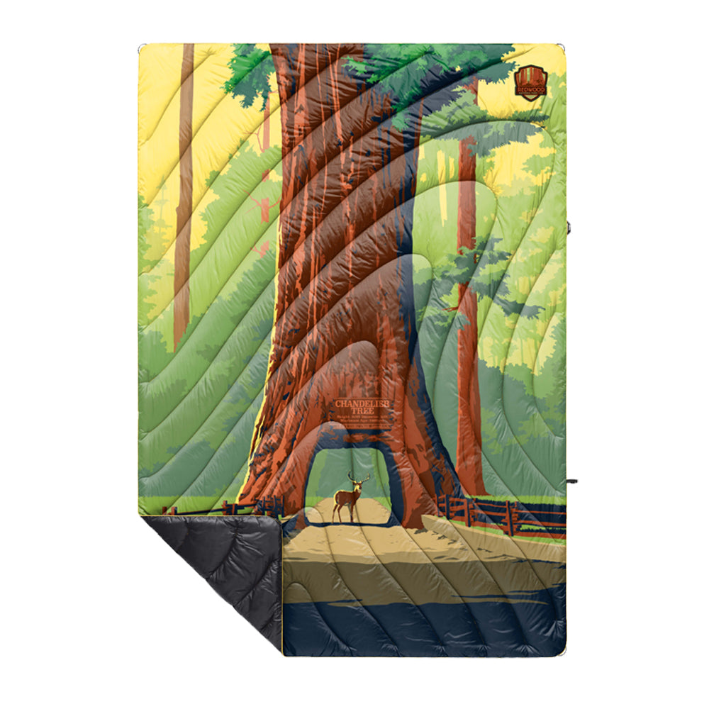 Original Puffy Blanket | Redwood National Park