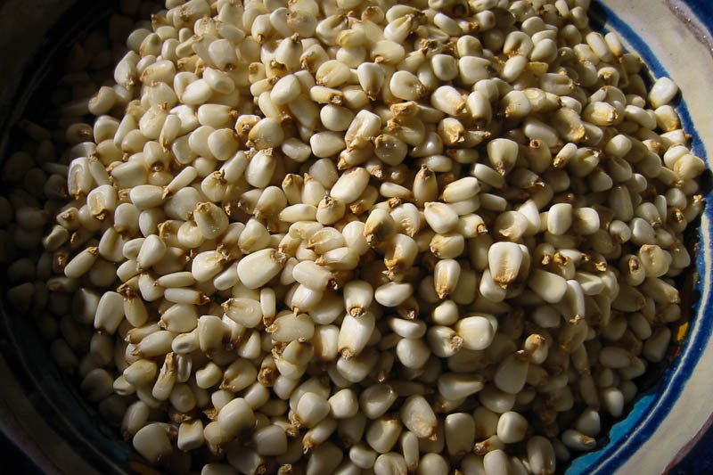 White Corn Posole