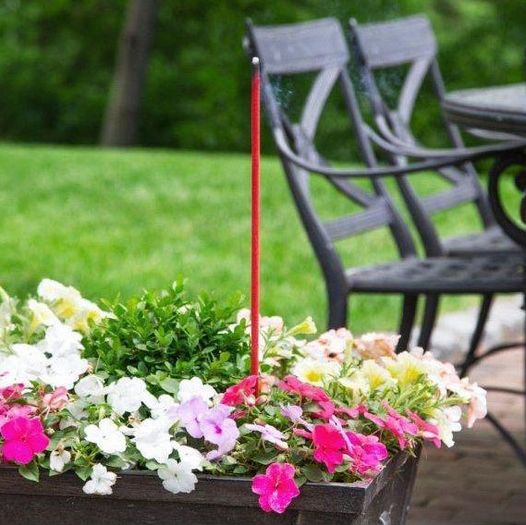 Yard Sticks