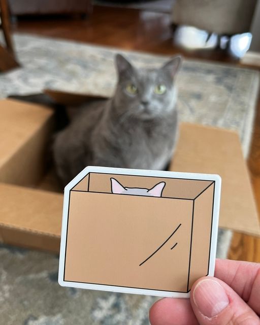 Cat In Box Sticker