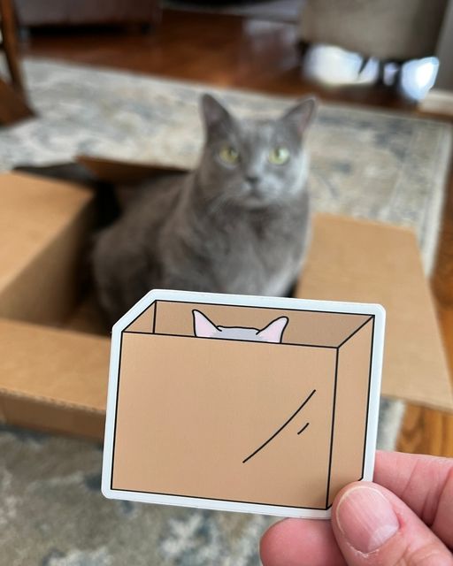 Cat In Box Sticker - Domestic Domestic