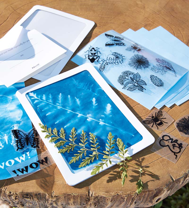 Solar Print Kit - Domestic Domestic