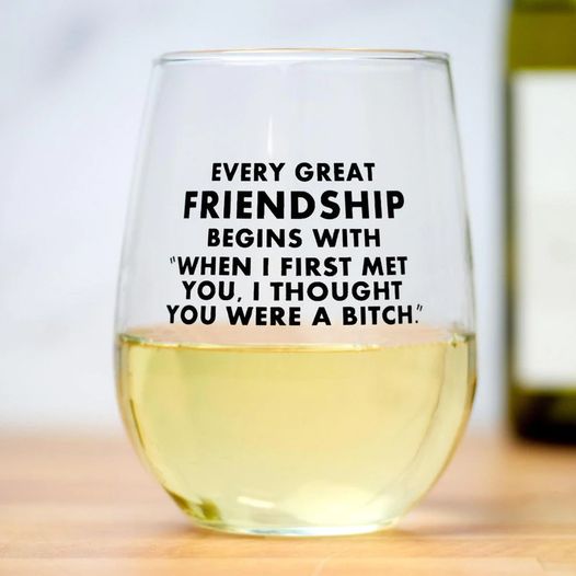 Every Great Friendship Wine Glass