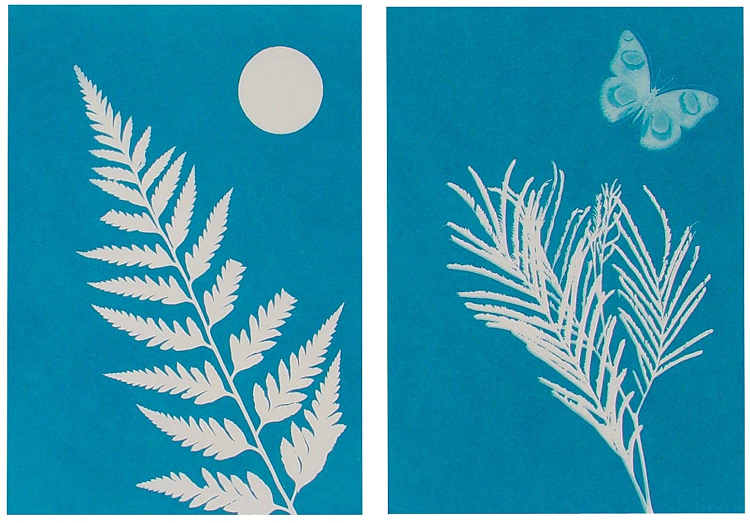 Solar Print Kit - Domestic Domestic