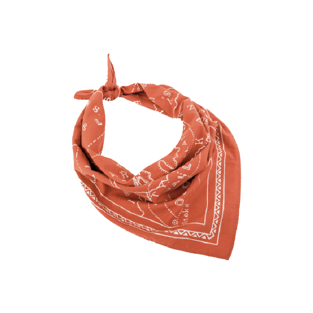 Ozarks 1900 Bandana | Harvest Orange