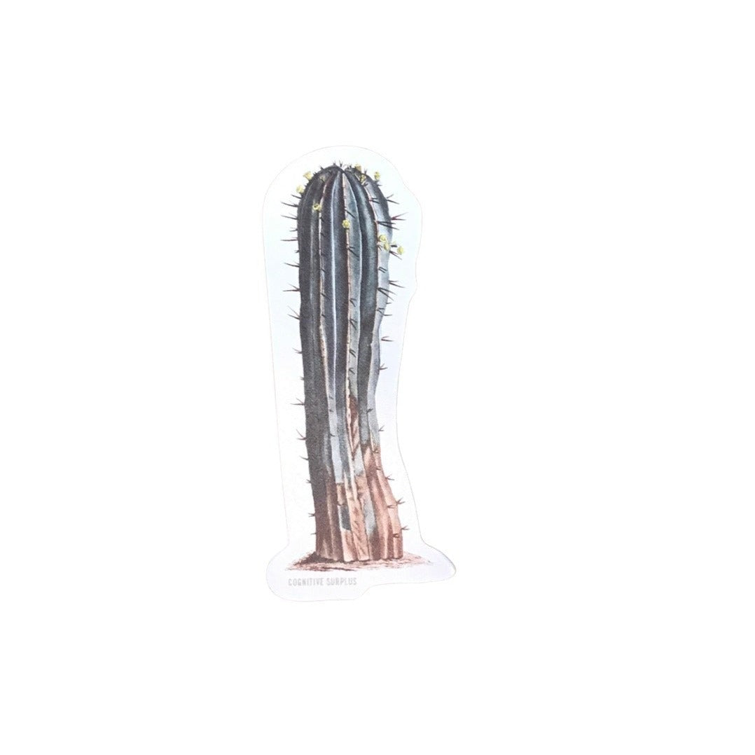 Cactus Sticker