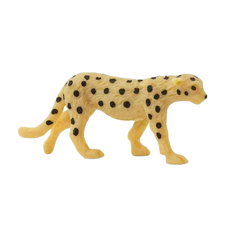 Good Luck Mini | Cheetahs