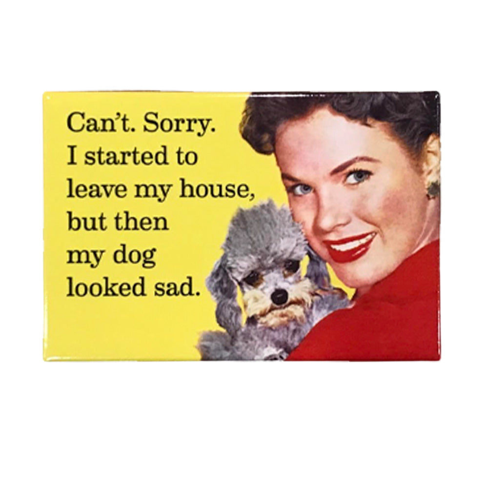 Dog Looked Sad Magnet - Domestic Domestic