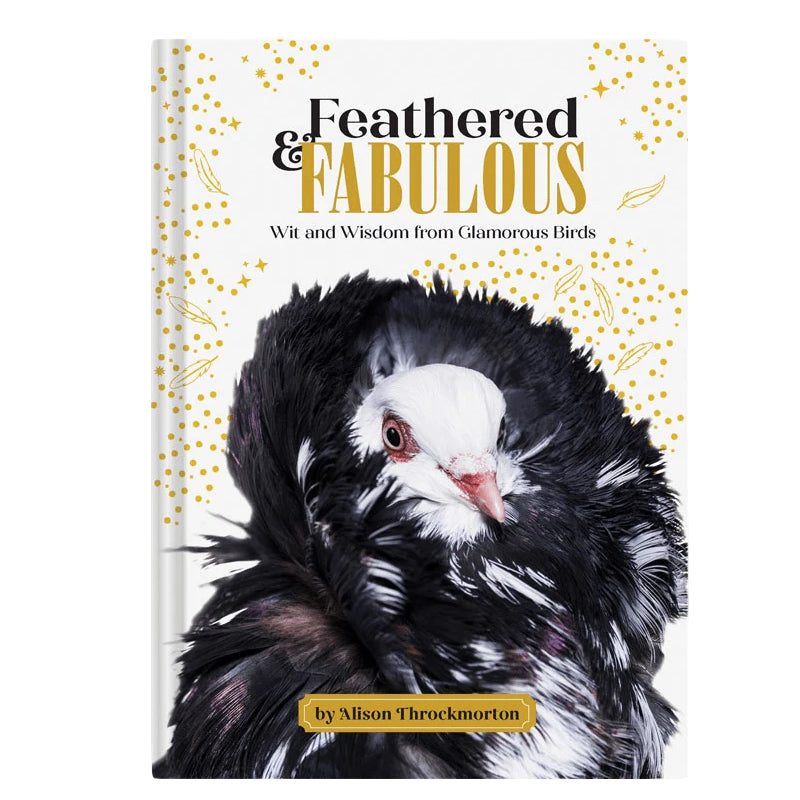 Feathered & Fabulous