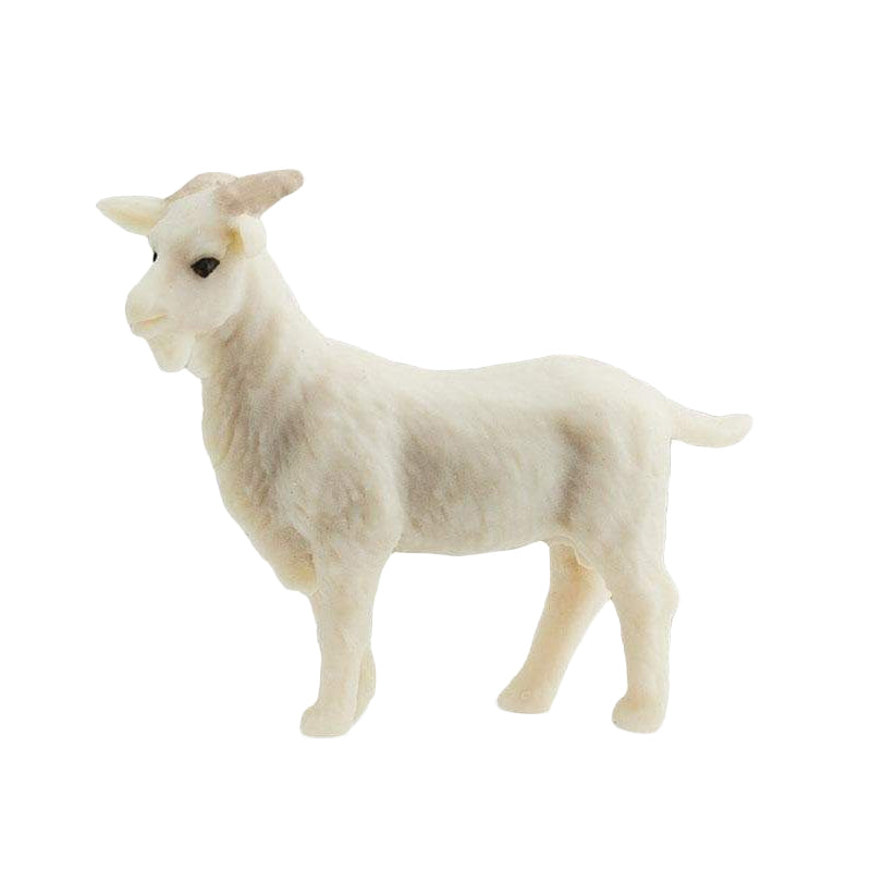 Good Luck Mini | Goat - Domestic Domestic