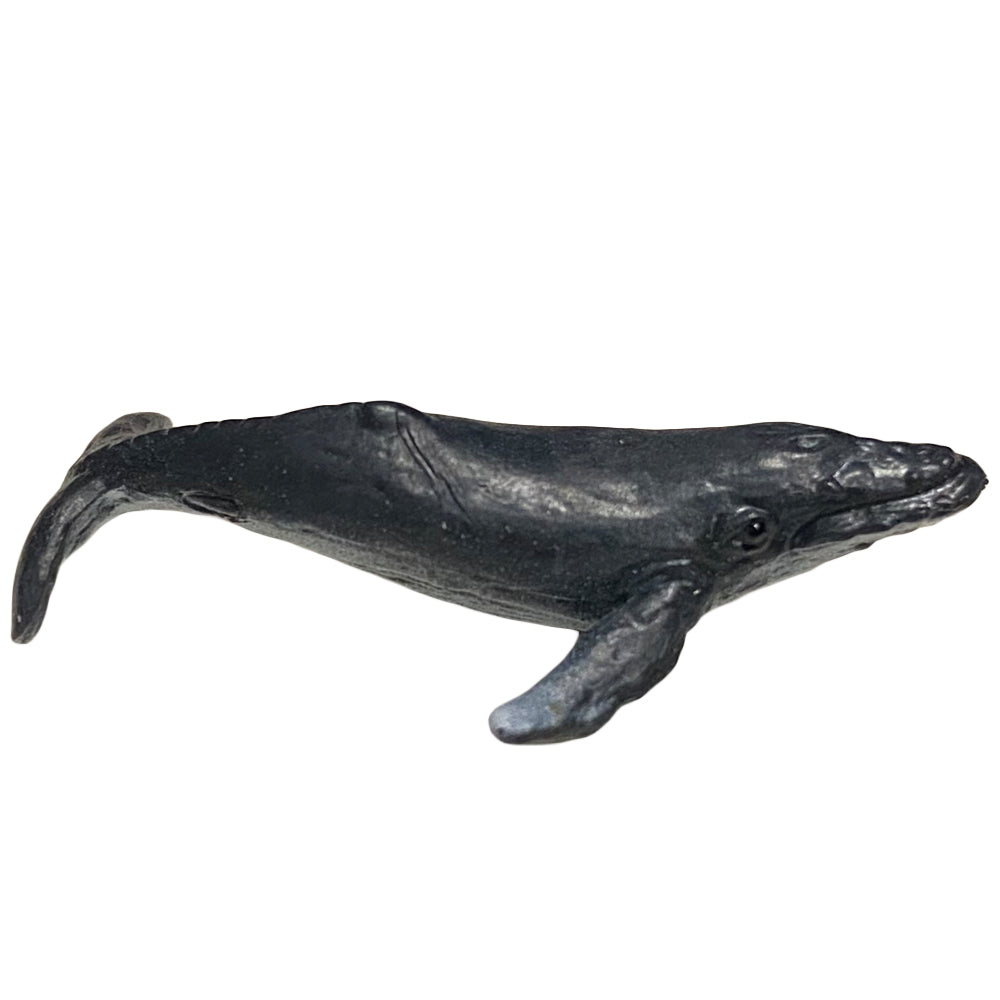Good Luck Mini | Humpback Whale