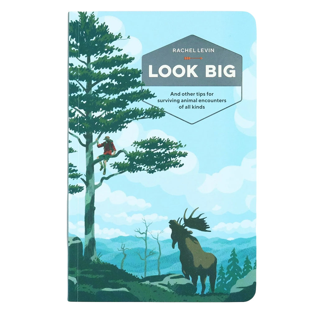 Look Big - Domestic Domestic