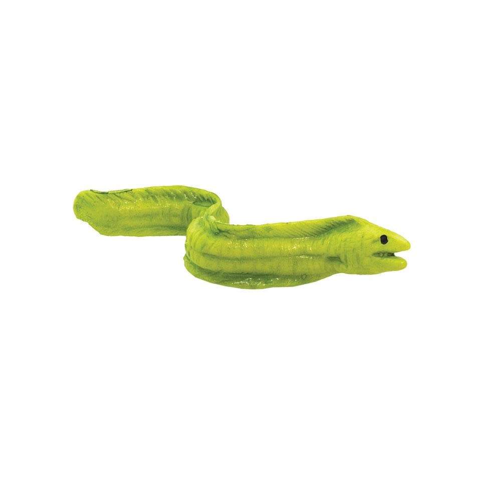 Good Luck Mini | Moray Eel