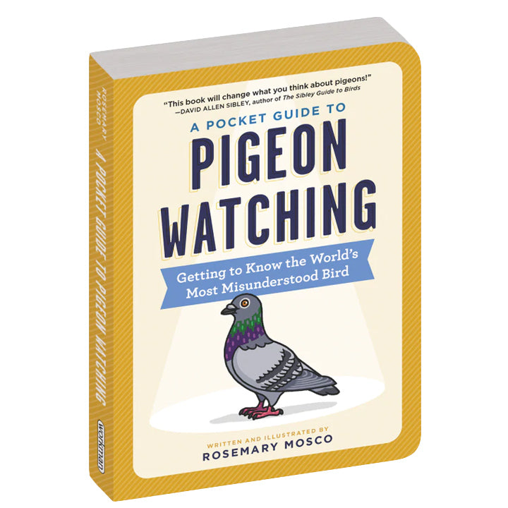 Pigeon Watching
