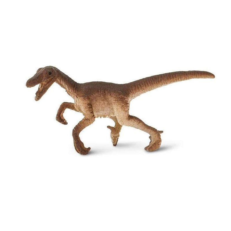 Good Luck Mini | Raptor