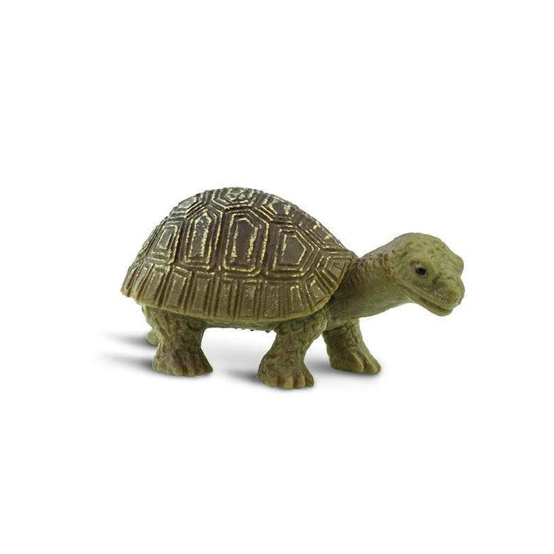 Good Luck Mini | Tortoise